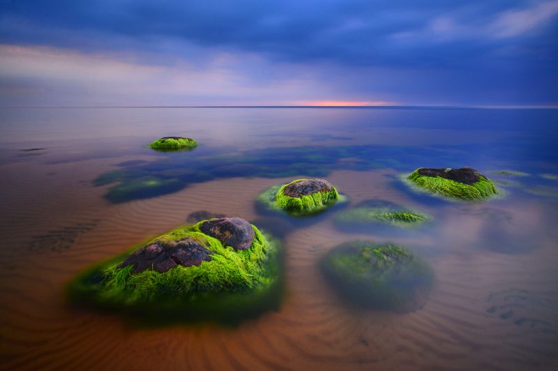 Olegs Bucis, Latvia