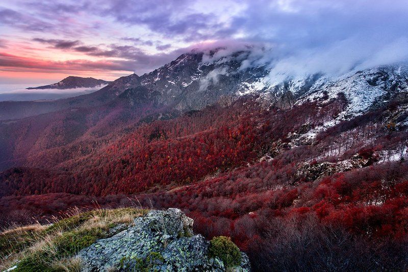 Между Сезонамиphoto preview