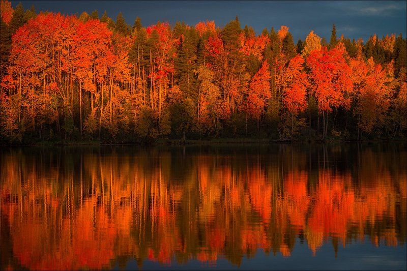 Огненный пейзаж.photo preview