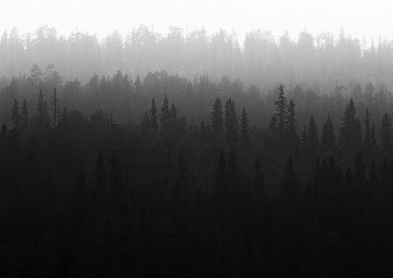 5 оттенков серогоphoto preview