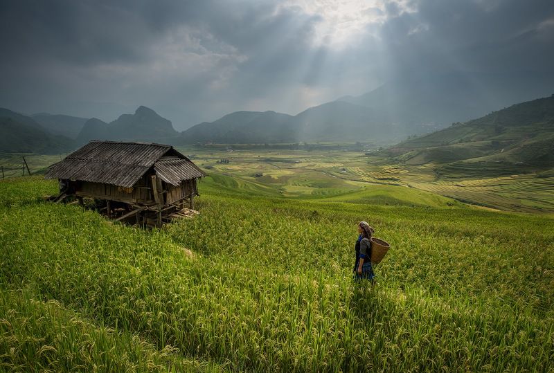 Keep walkingphoto preview