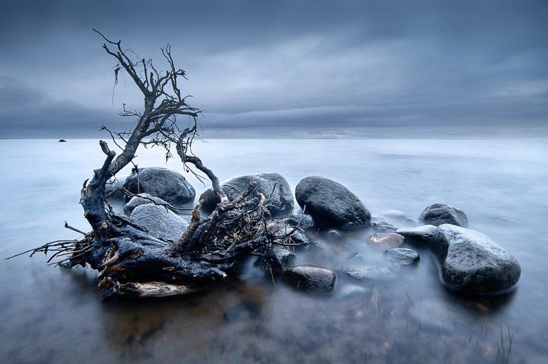 Сестрорецк, Финский залив Финский залив.photo preview