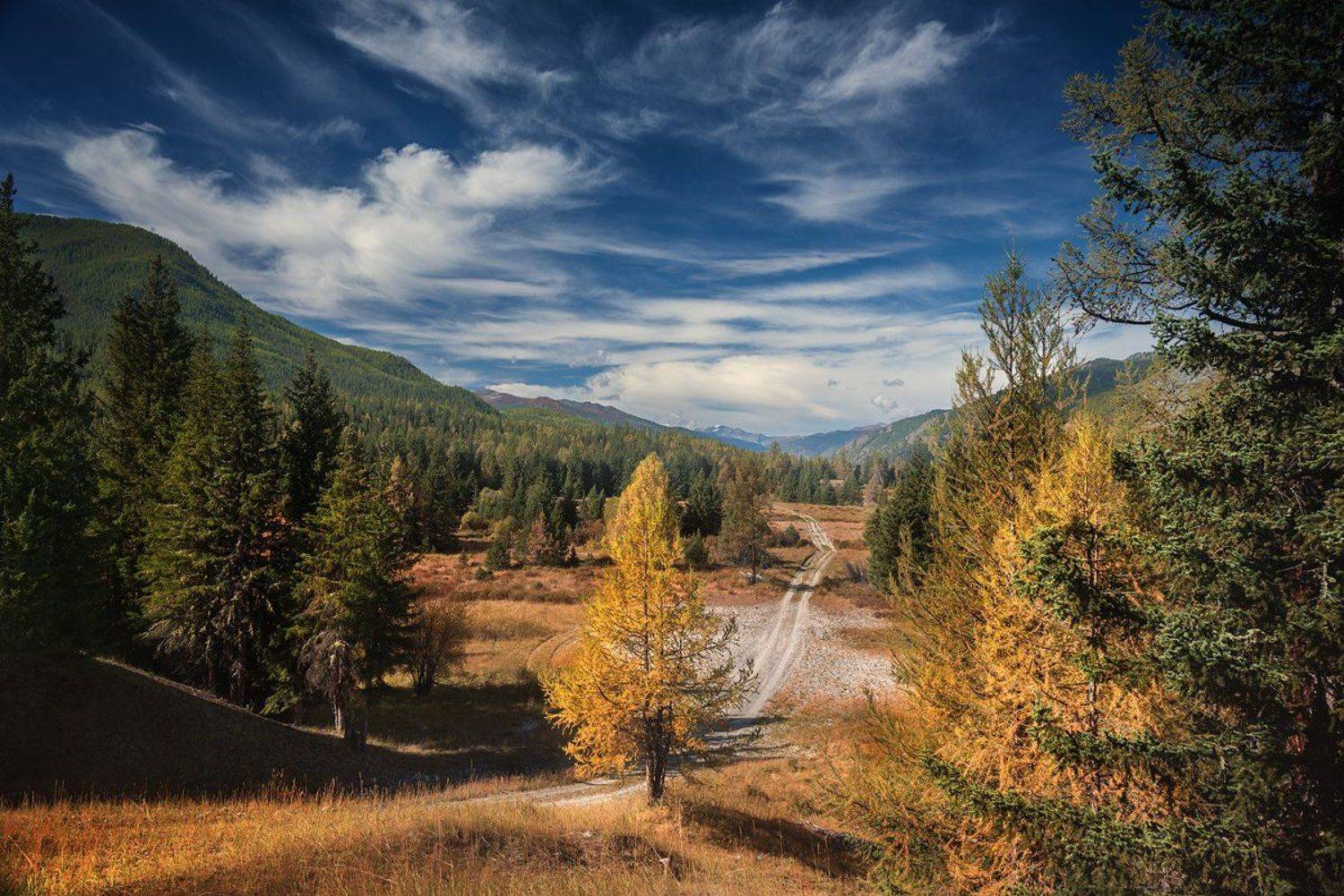 пейзаж, природа, лес, иайга, осень, желтый, зеленый, синий, дорога, горы, Алтай, большой, красивая, высокий, путешествие, Дмитрий Антипов