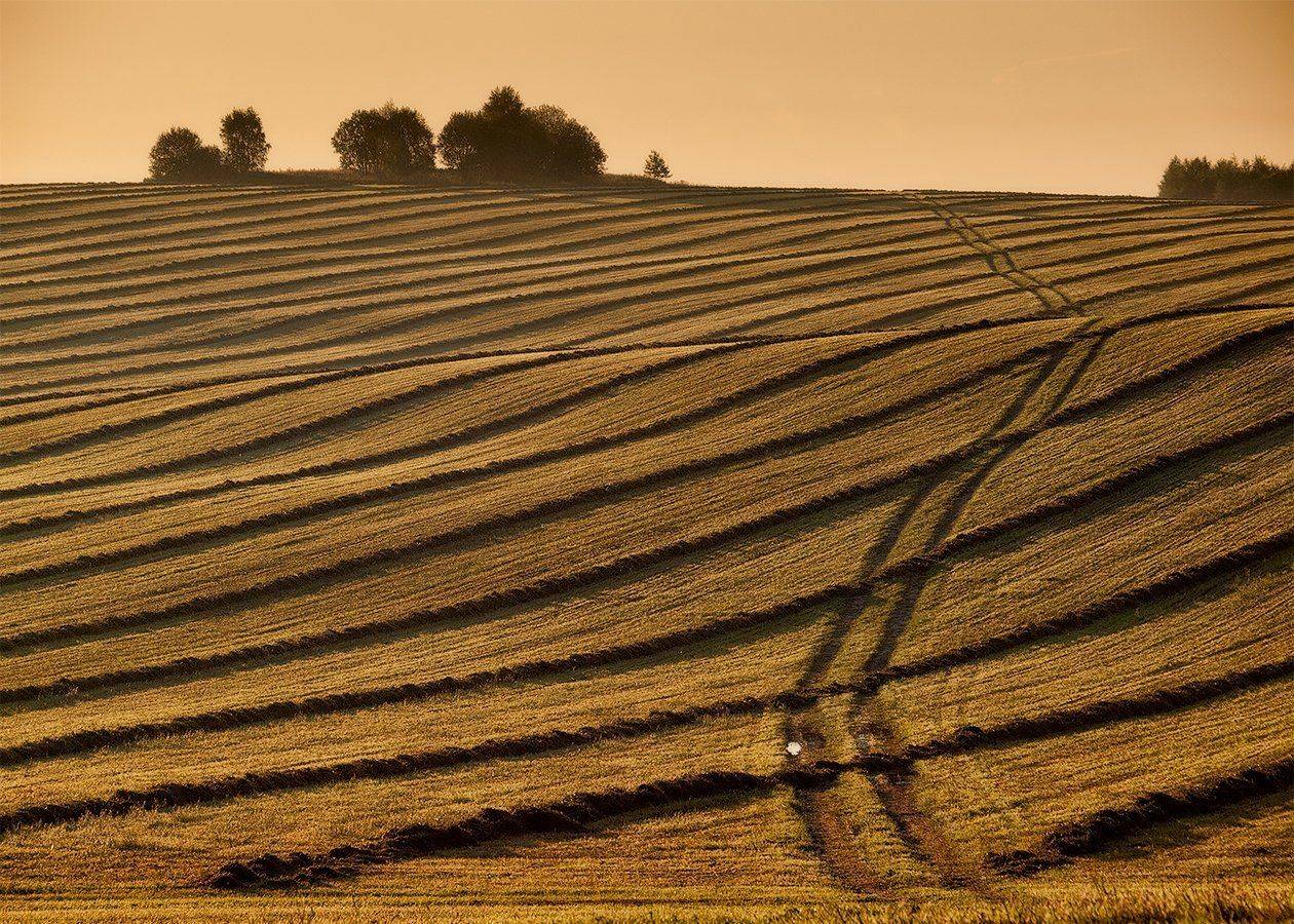 , Владимир Перепечаев