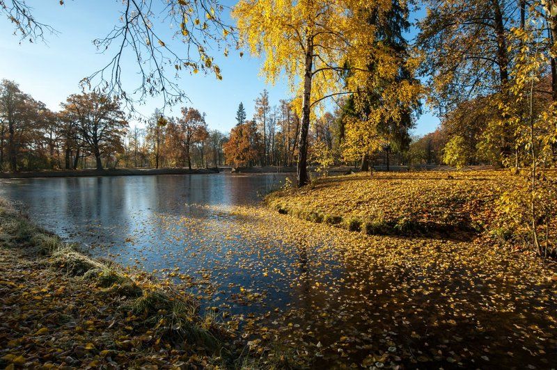 Пушкин Александровский парк октябрь ***photo preview