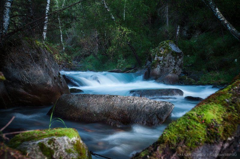 алтай, реки, река, лес, тайга, горная_река, вода, деревья, быстрый,  Altai, river, river, forest, taiga, mountain_river, water, trees, fast Другой Алтайphoto preview