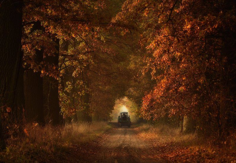 Autumn time...photo preview