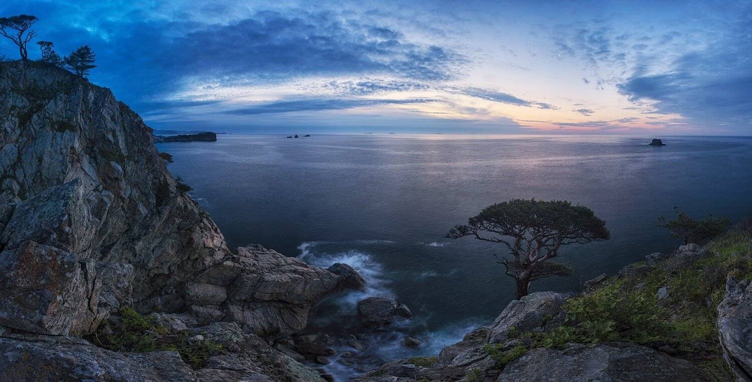 , Толмачев Дмитрий