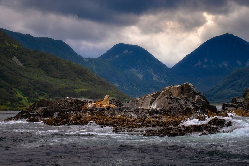 Лежбищеphoto preview