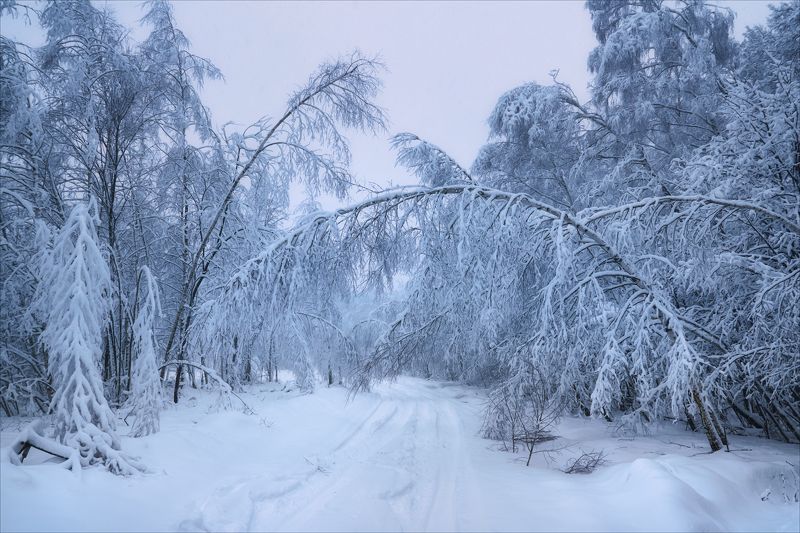 Снежными дорогамиphoto preview