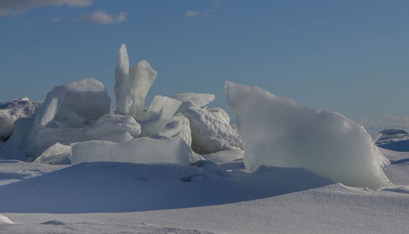 зима, снег, лед, торос, солнце, море Белый миша и ледяной цветокphoto preview