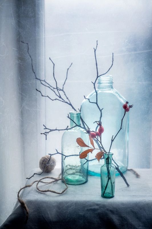 зима, окно, снег, шиповник, ветка, стекло На зимнем окнеphoto preview