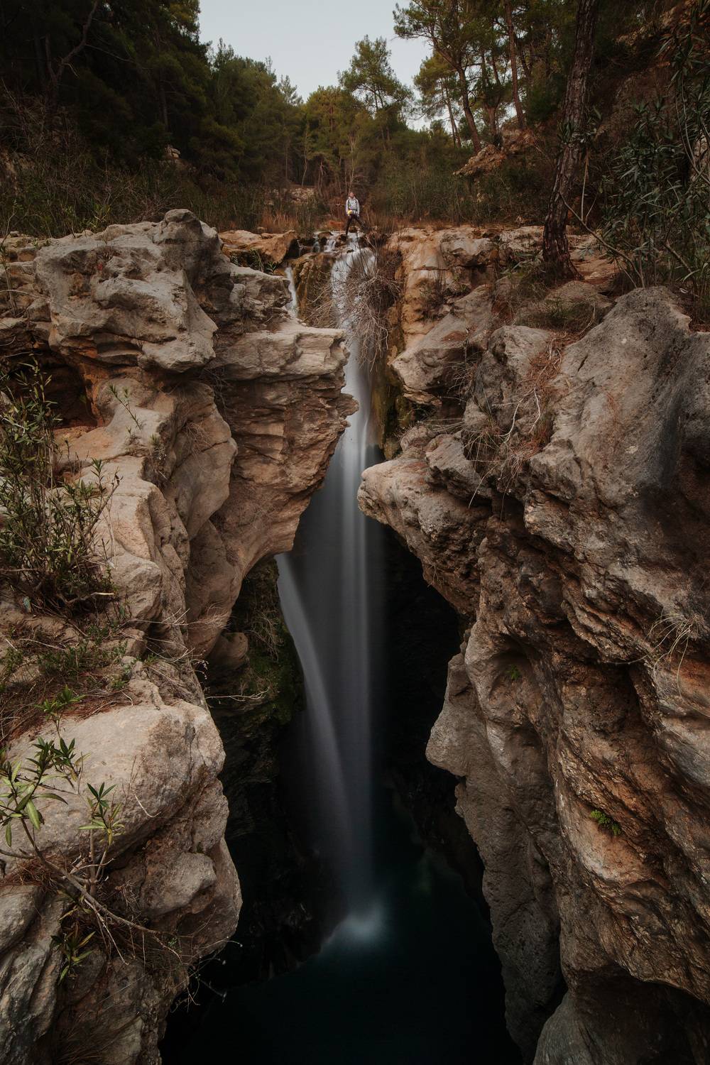 , Коровин Кирилл