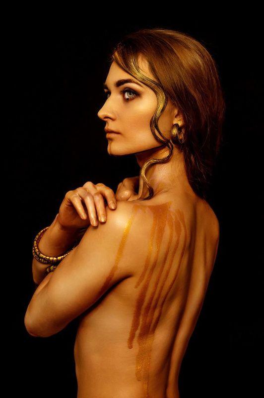 золотая краска, крыло, профиль photo preview