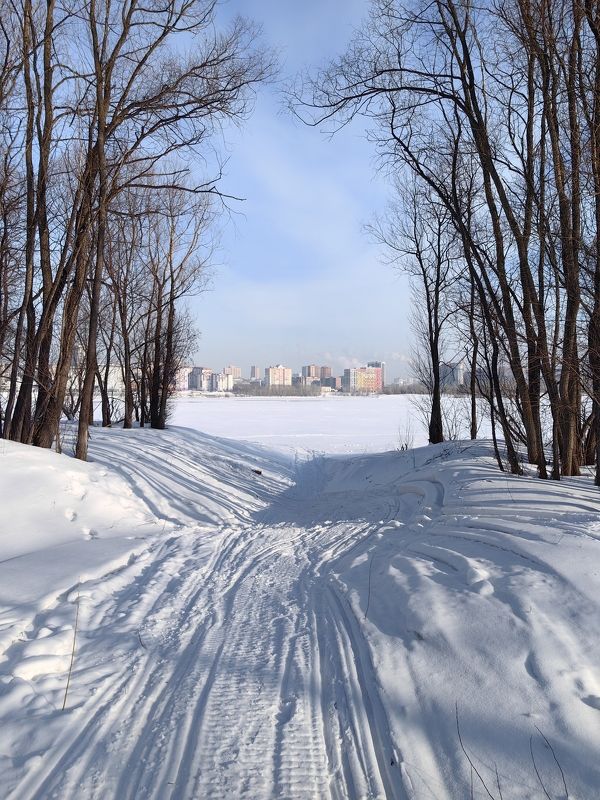 город,пейзаж,новосибирск,зима,деревья,тени,линии Линии на снегуphoto preview