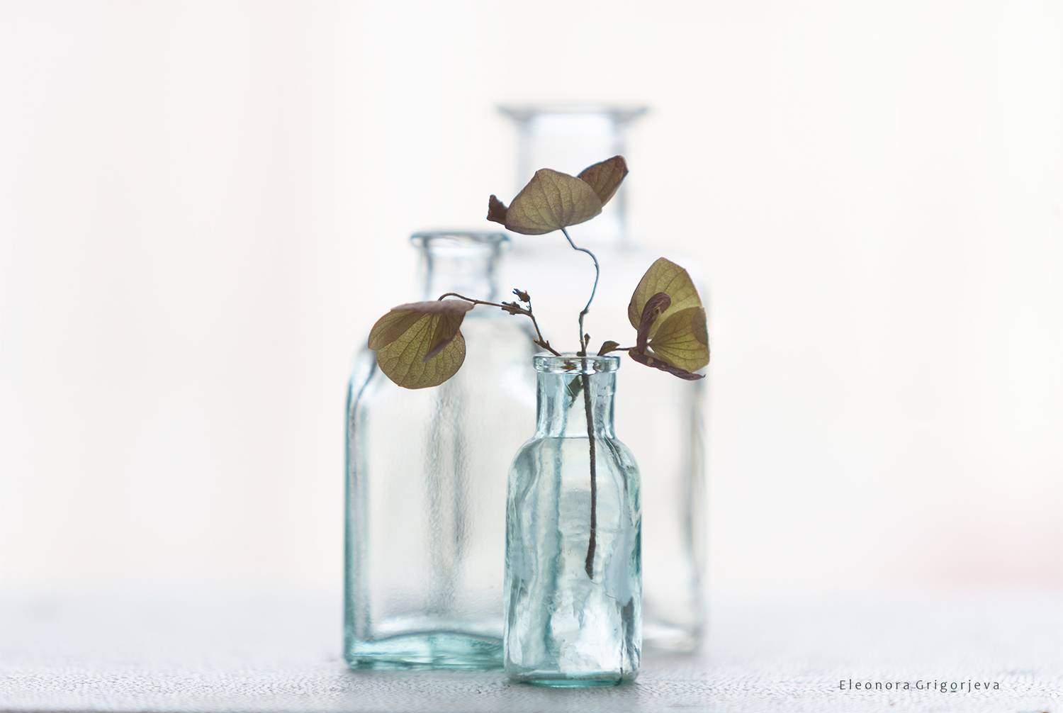 , Eleonora Grigorjeva