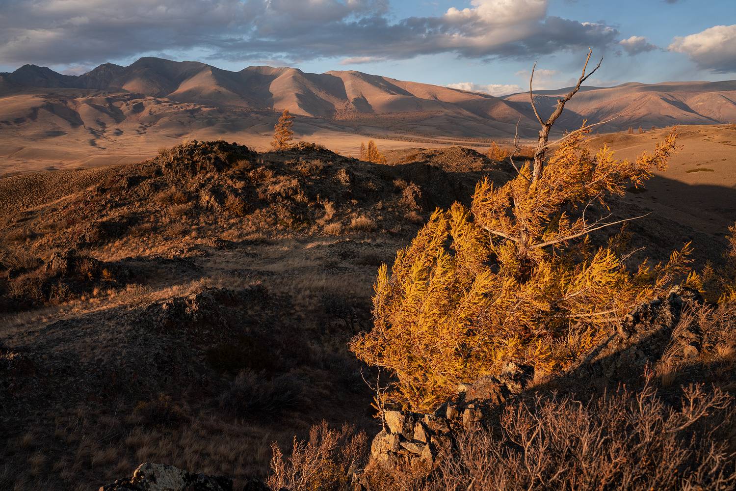 На семи ветрах. Автор: Александр Нерозя алтай, горы, осень, пейзаж, природа, красиво, Александр Нерозя