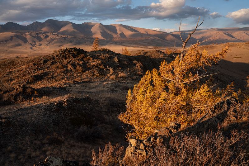 алтай, горы, осень, пейзаж, природа, красиво На семи ветрахphoto preview