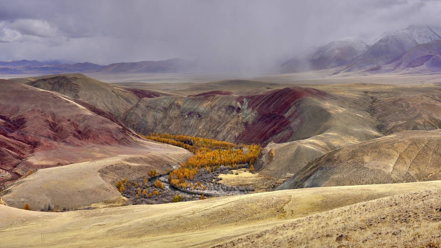 пасмурный Кызылшин. Автор: Кузнецов Андрей алтай, кош-агач, Кузнецов Андрей