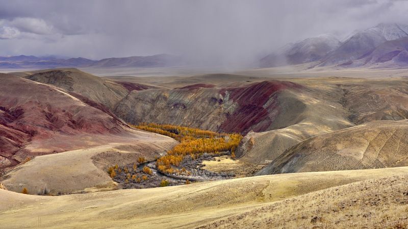 алтай, кош-агач пасмурный Кызылшинphoto preview