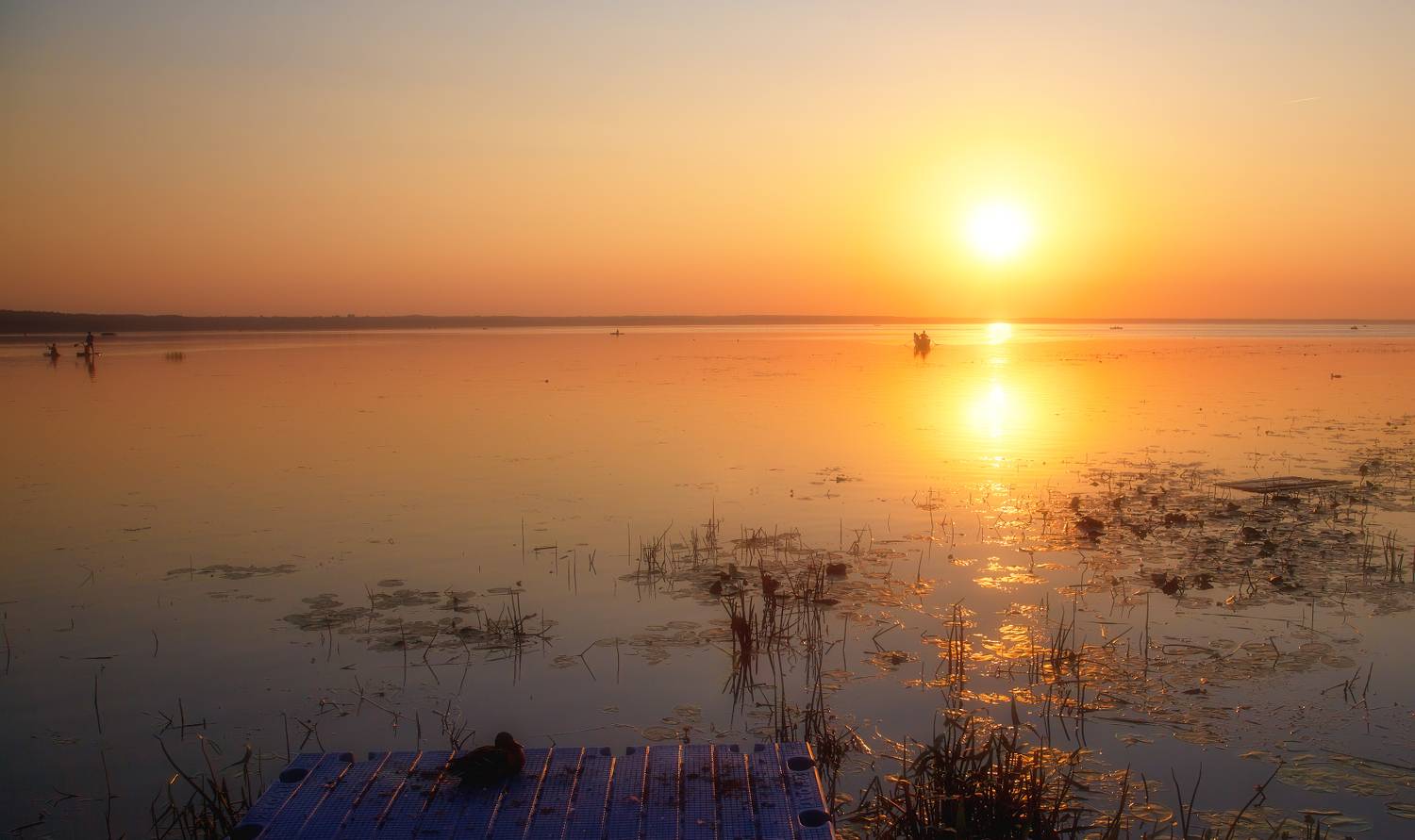 , Ирина Заколдаева