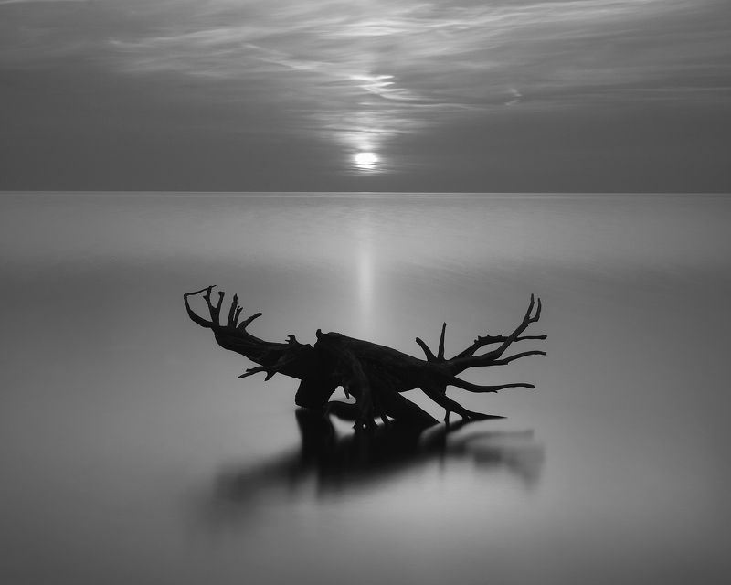 Rybinsk zenphoto preview