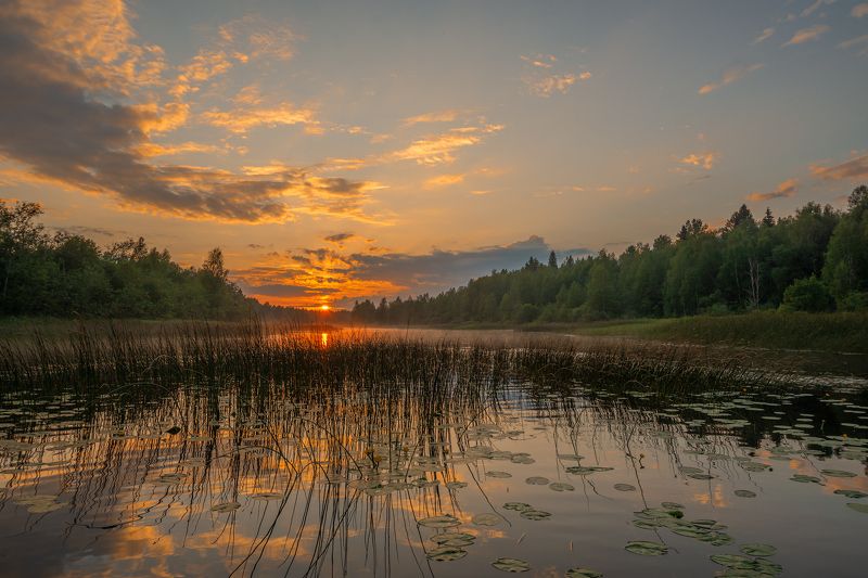 великий двор,вологодчина,кема,север Вечерняя Кемаphoto preview