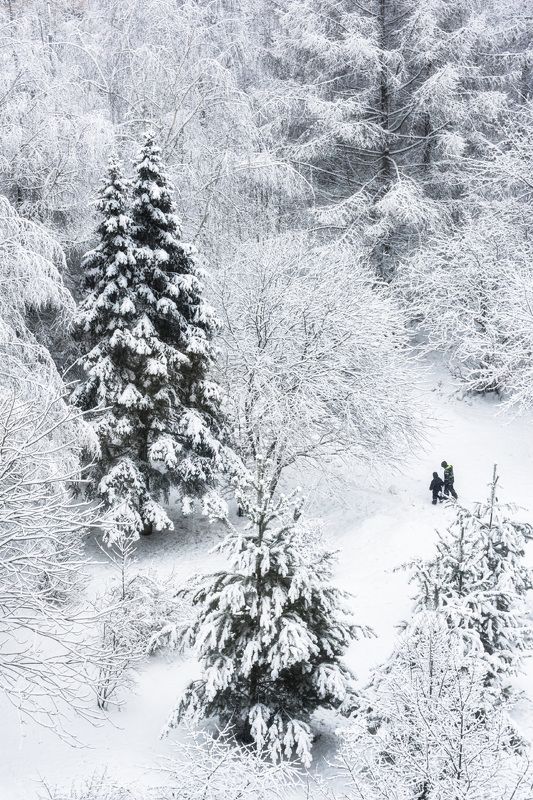 иней, люди, дорожки Прогулкаphoto preview