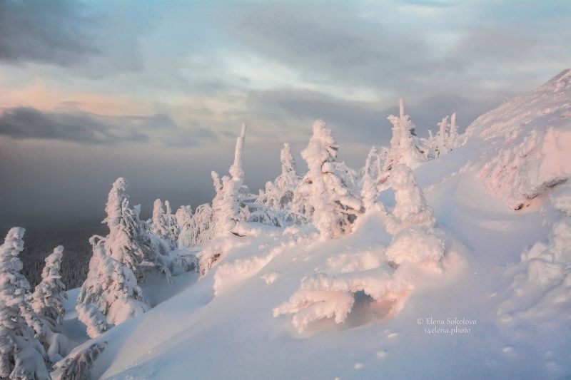 помяненный камень, колчимский камень, зимний пейзаж, закат, северный урал, Помяненный каменьphoto preview