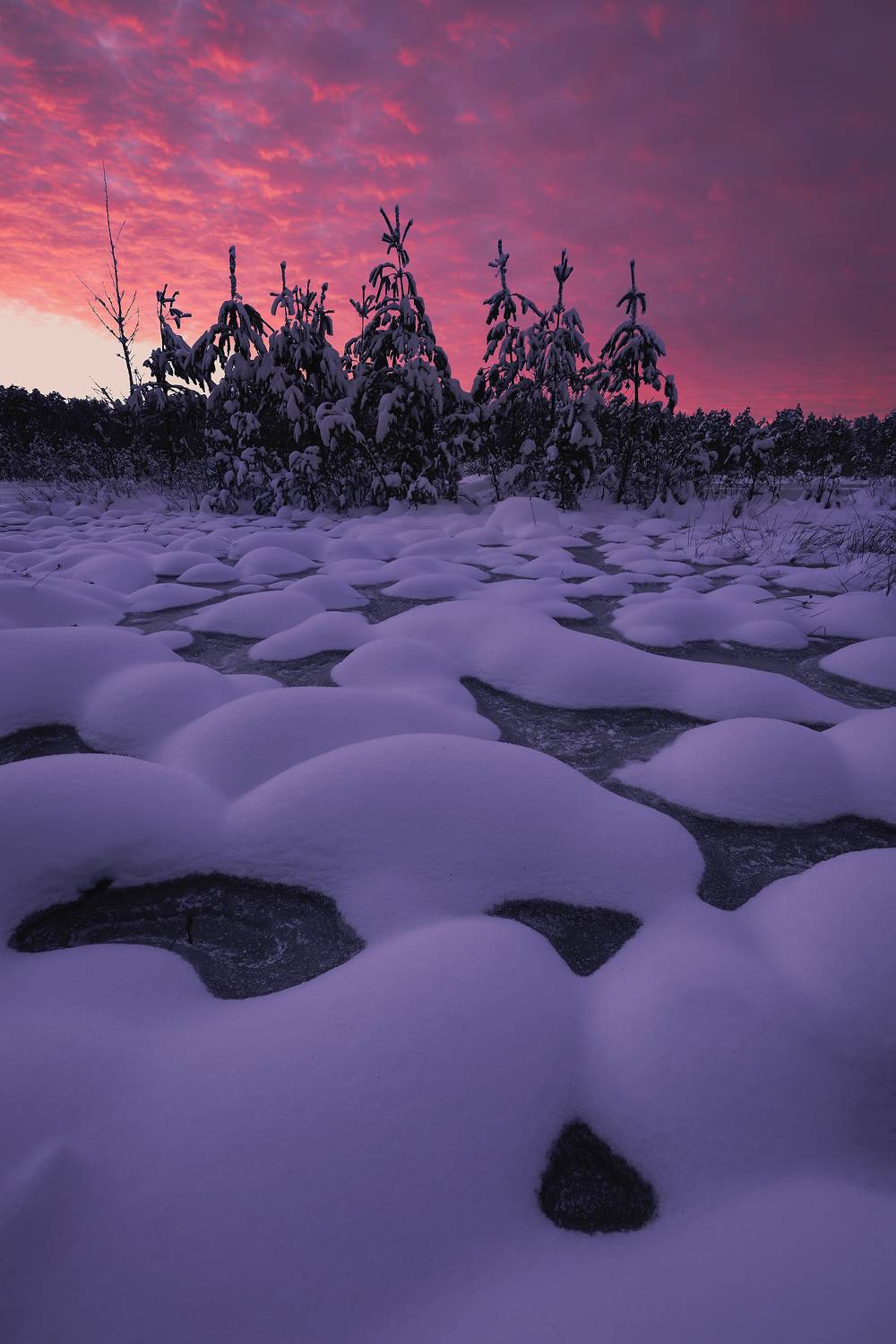 , Захаров Дмитрий