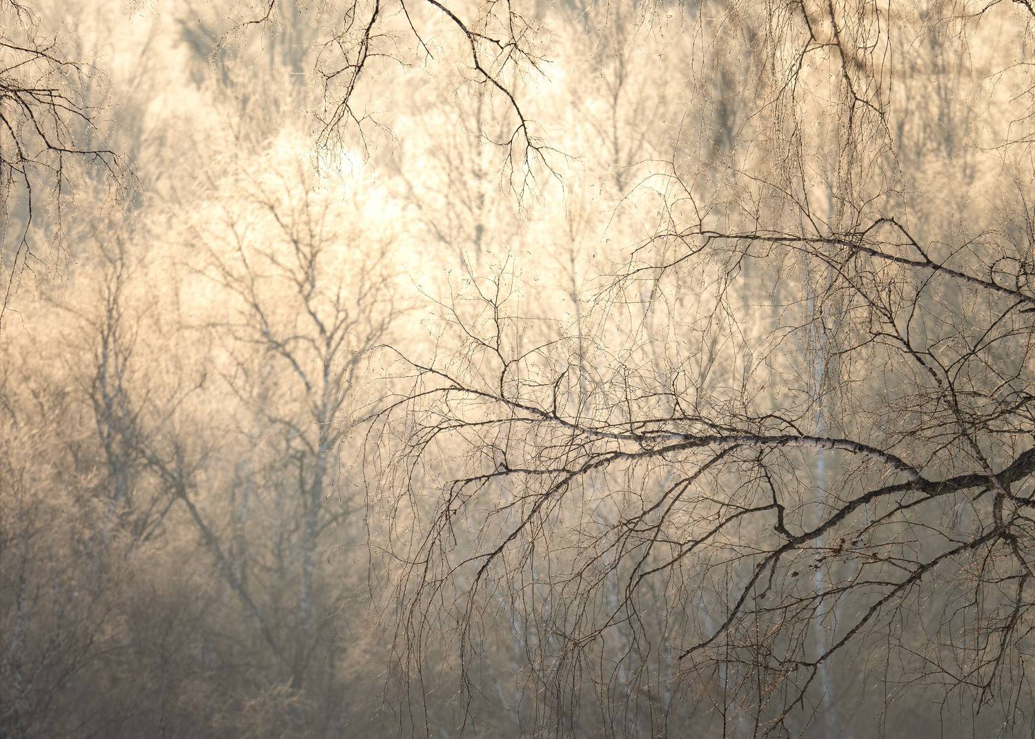 , Евгений Важенин