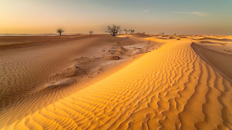Фактура и Текстура Руб Аль Хали фото превью