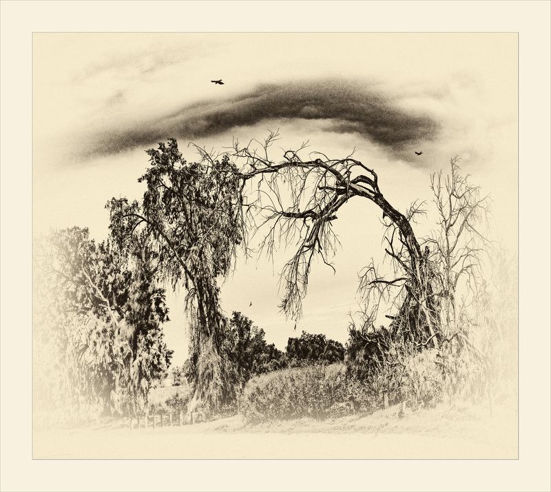 из серии -затерянный мир-photo preview