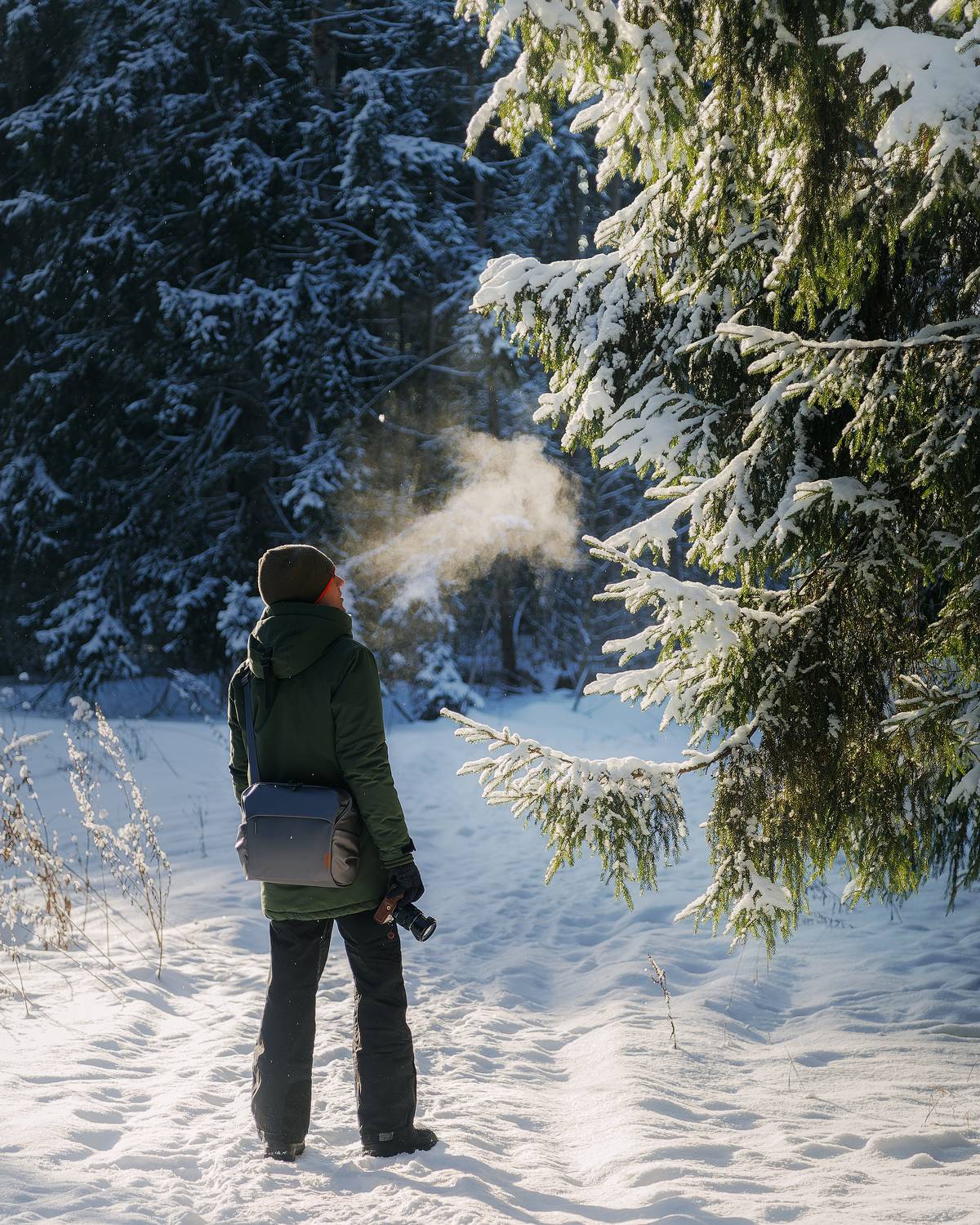 , Загруев Михаил