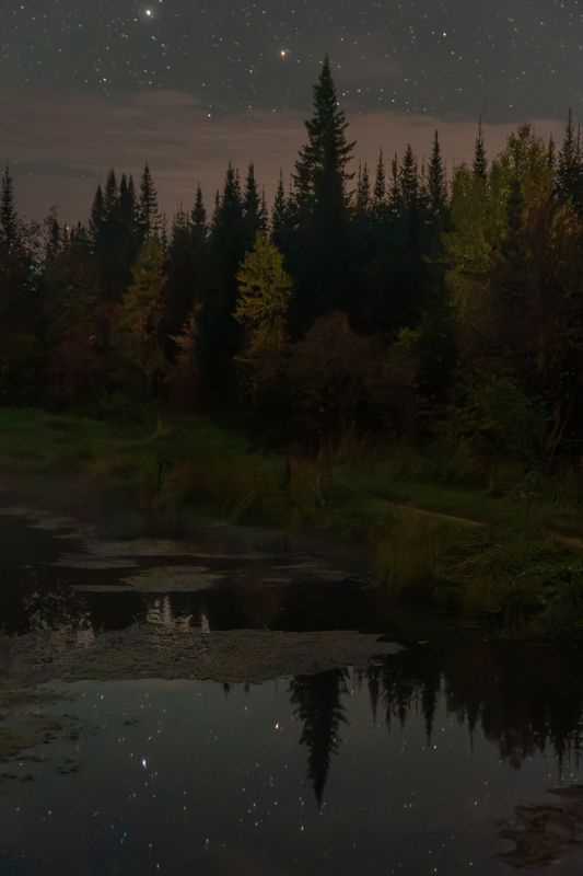 ночь, звезды, тайга, night, stars, taiga, siberia, сибирь, красноярский край Таежная осеньphoto preview
