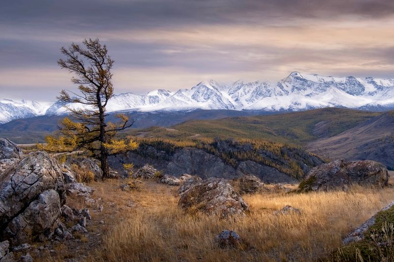 осень на алтае, республика алтай, russia, горный алтай, курайская степь, урочище таджилу, алтай, нд, осенний алтай, фототур на алтай, kurai steppe, altai, photo tour to altai, золотой алтай, золотой алтай нд, осень, что такое осень? Алтайские мотивыphoto preview