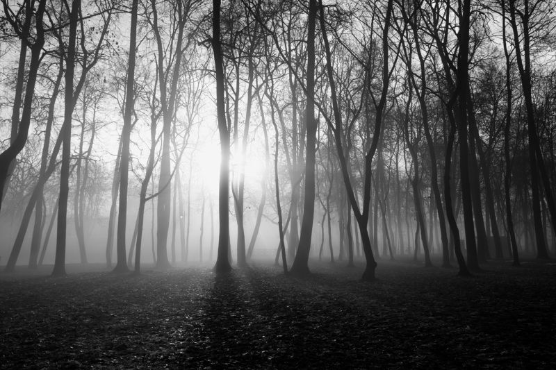 Утренний туманphoto preview