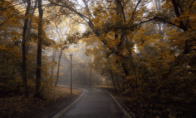 осень парк Осень в паркеphoto preview