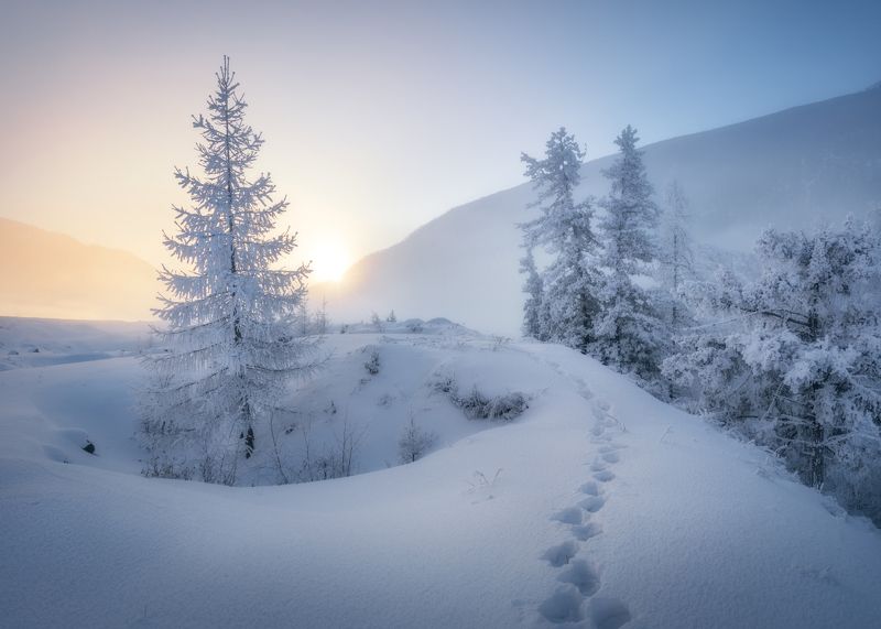 алтай, горный алтай, пейзажи алтая, онгудайский район, зимний пейзаж, куржак, горы, зимний алтай, иней, мороз, туман На берегах парящей Чуиphoto preview