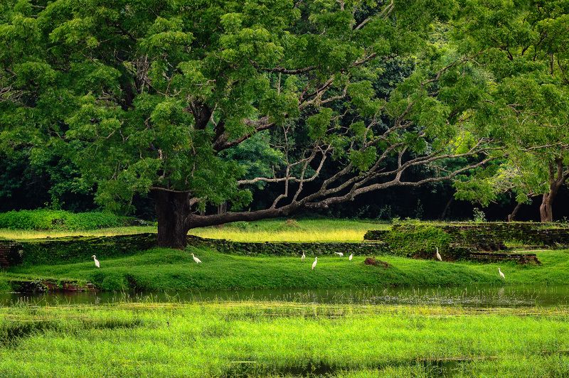 Райский уголокphoto preview