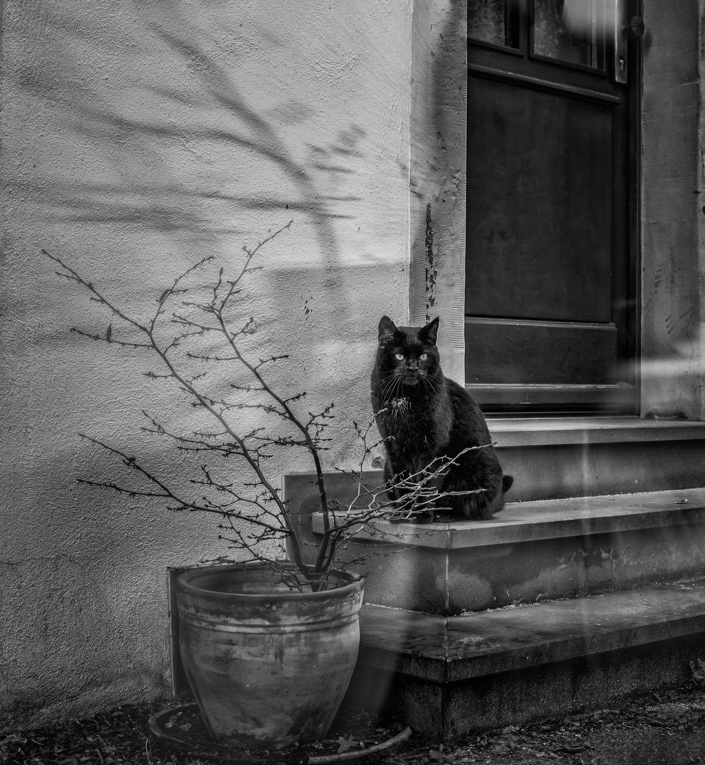 Автор: Сигидова Ирина , Сигидова Ирина