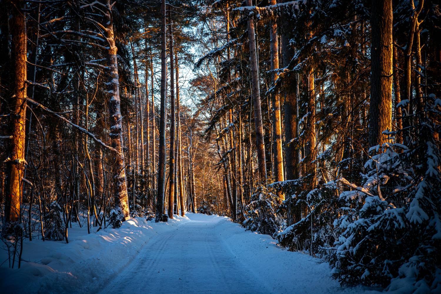 , Герасимова Елена