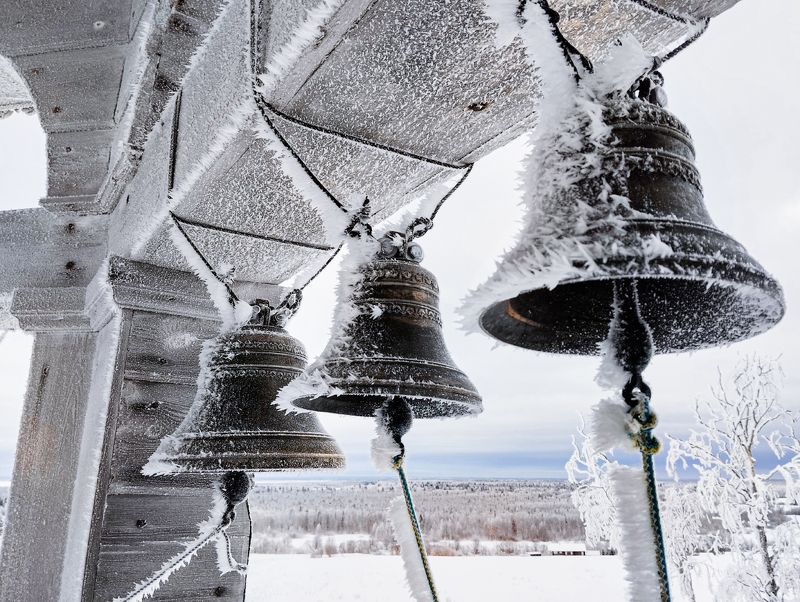 В снежном инееphoto preview