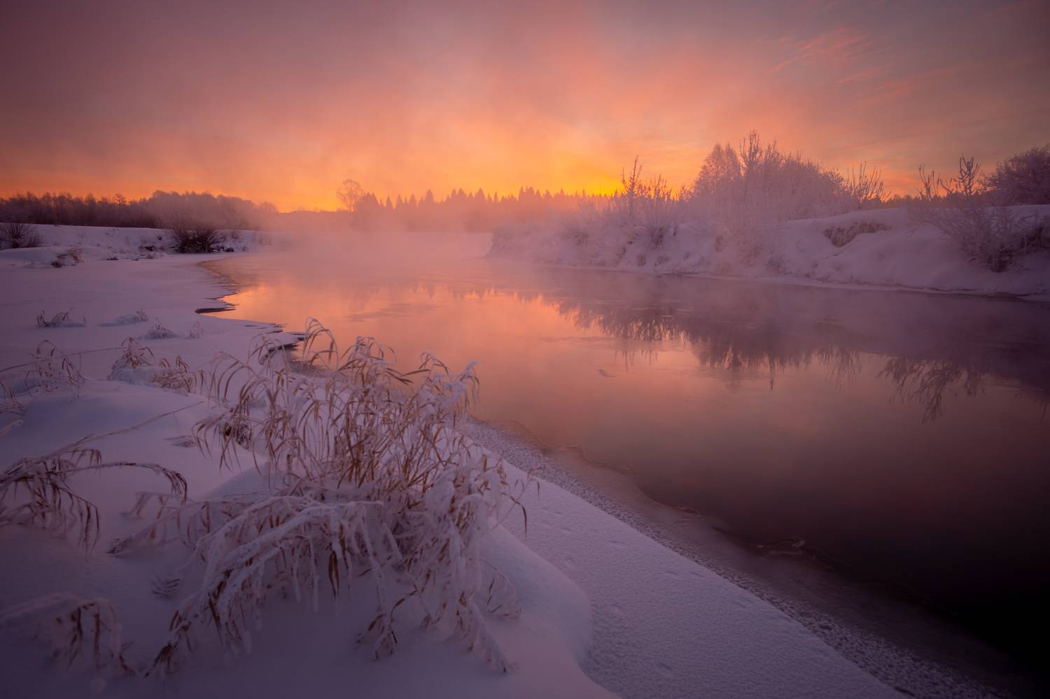 , Денис Туев