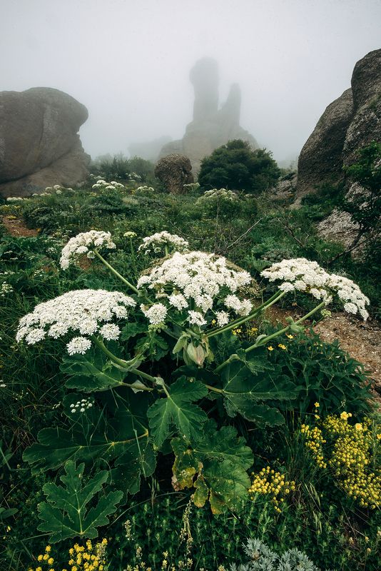 крым ***photo preview