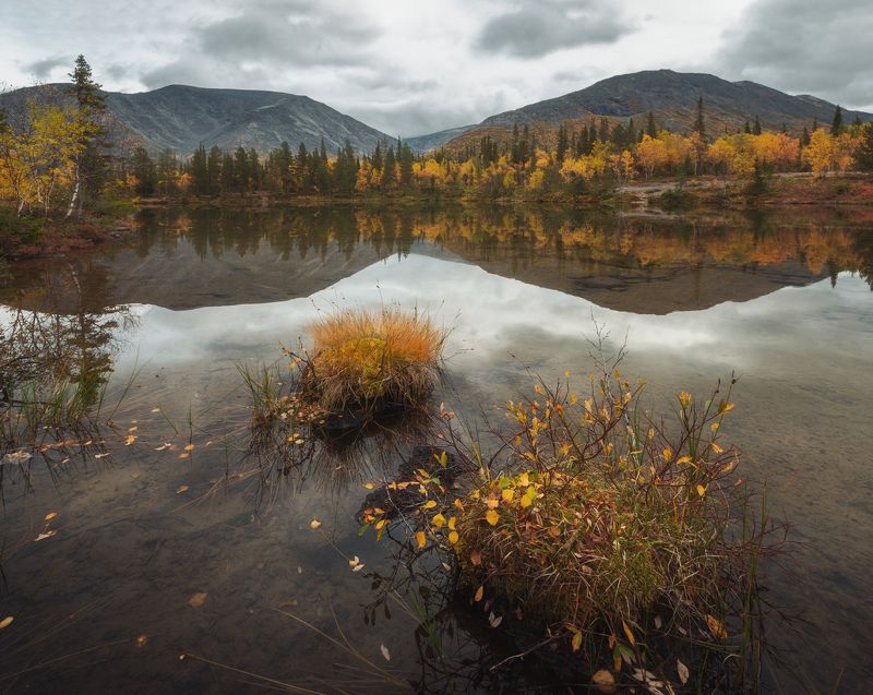 хибины, осень, кольский полуостров Пасмурные Хибины.photo preview