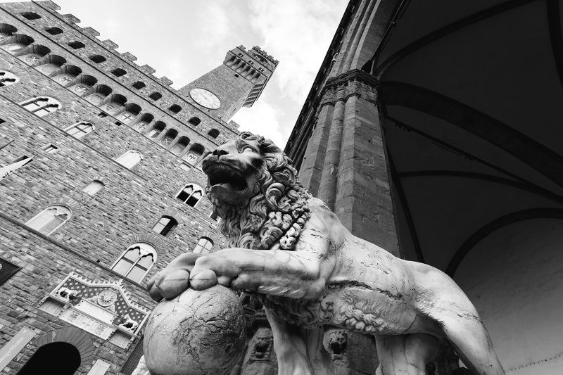 камень город флоренция италия лев чб Охранитель фото превью