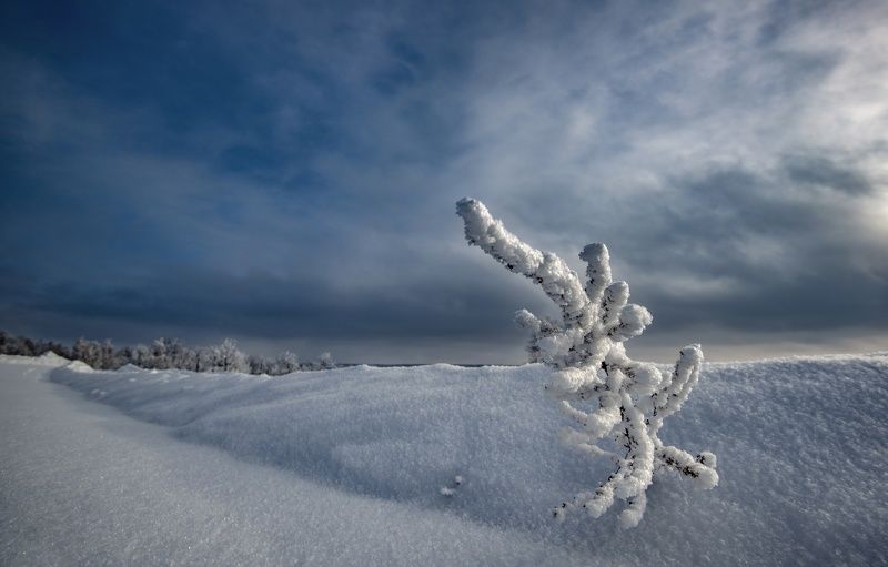 Выстоим и дождёмся летаphoto preview