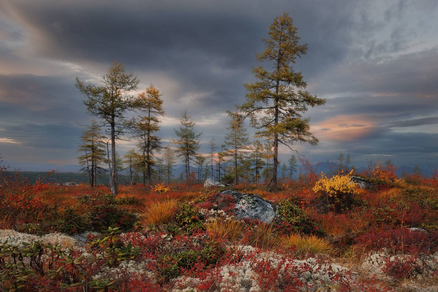 Краски Колымы. Автор: Морозов Сергей , Морозов Сергей