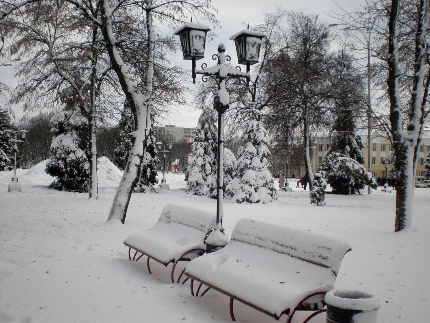 , Савоцкий Роман